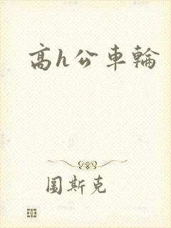 高h公车轮