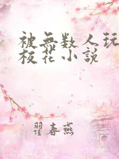 被无数人玩弄的校花小说