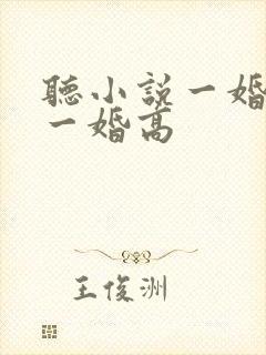 听小说一婚更比一婚高