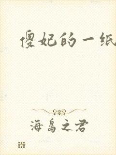 傻妃的一纸休书
