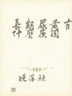 长期尿黄有沫是什么原因