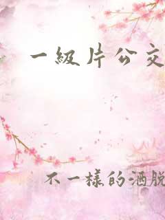一级片公交车上