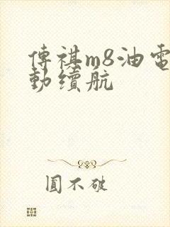 传祺m8油电混动续航