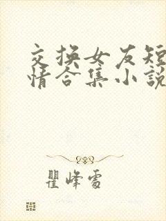 交换女友短篇激情合集小说
