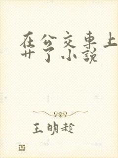 在公交车上被人艹了小说