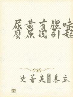 尿黄有腥味是什么原因引起的