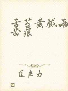 舌苔黄腻两侧有齿痕