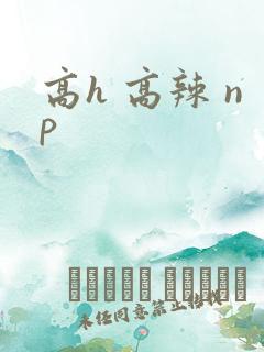 高h 高辣 np