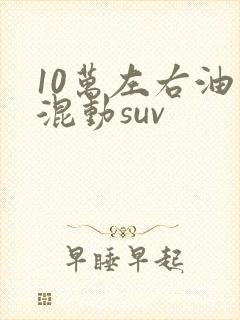 10万左右油电混动suv