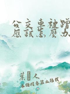 公交车被蹭了我应该怎么办