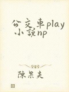 公交车play 小说np