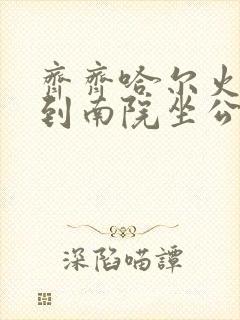 齐齐哈尔火车站到南院坐公交几路车