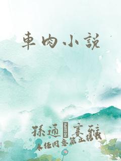 车肉小说