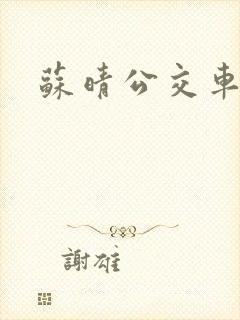 苏晴公交车小说