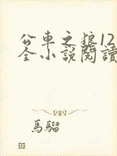 公车之狼12集全小说阅读