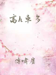 高h车多