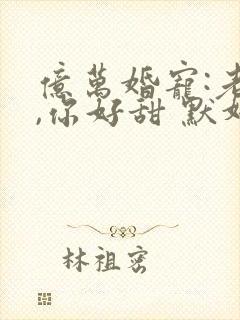 亿万婚宠:老婆,你好甜 默妍