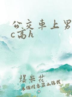 公交车上男男被c高h