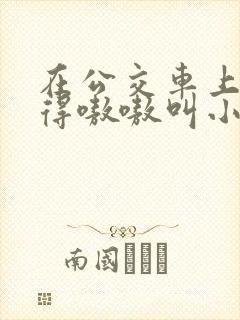在公交车上被玩得嗷嗷叫小说