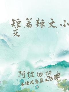 短篇辣文小说公交