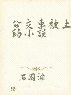 公交车被上高潮的小说