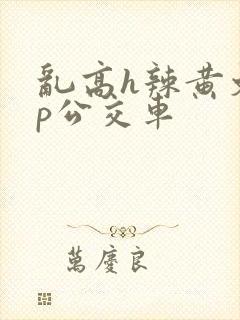 乱高h辣黄文np公交车