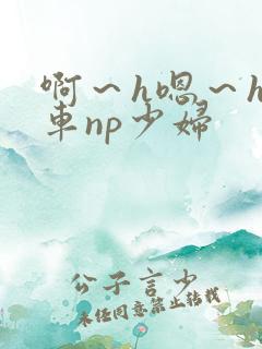 啊～h嗯～h公车np少妇