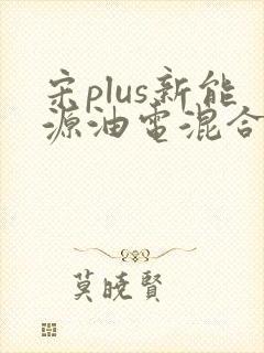 宋plus新能源油电混合