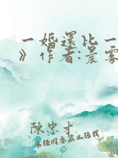一婚还比一婚高》作者:晨雾的光