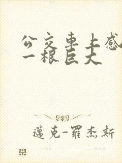公交车上感觉有一根巨大