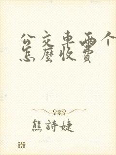 公交车两个小孩怎么收费