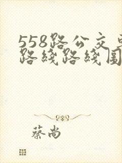 558路公交车路线路线图