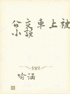 公交车上被摸胸小说