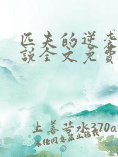 匹夫的逆袭 小说全文免费阅读