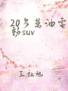 20多万油电混动suv