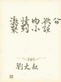 激情肉欲公交车系列小说