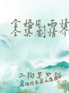金婚风雨情免费全集剧情介绍