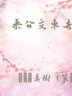 乘公交车去上班