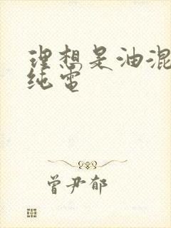 理想是油混还是纯电