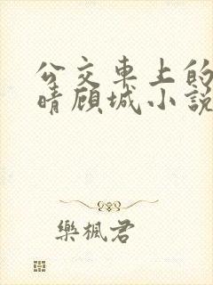 公交车上的诗请晴顾城小说阅读