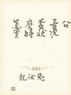 怎么查看公交车实时状况