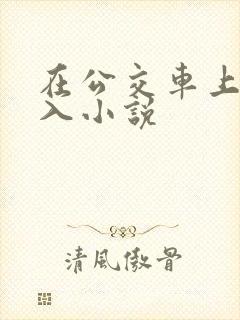 在公交车上被进入小说