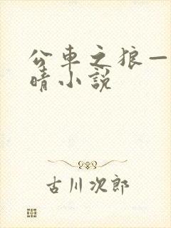 公车之狼——诗晴小说