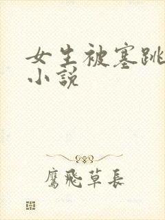 女生被塞跳蛋的小说