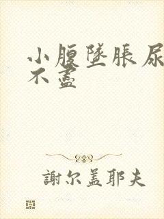 小腹坠胀尿频尿不尽