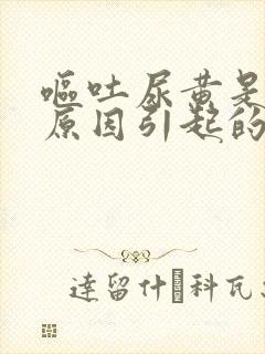呕吐尿黄是什么原因引起的