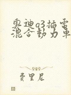 奥迪q3插电式混合动力车价格