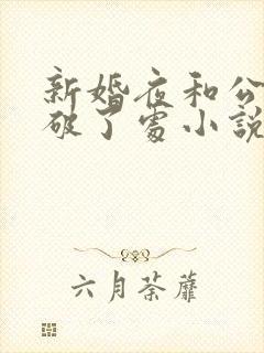 新婚夜和公给我破了处小说