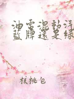 油电混动汽车是蓝牌还是绿牌