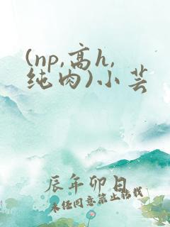 (np,高h,纯肉)小芸